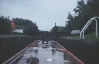 {short description of image}